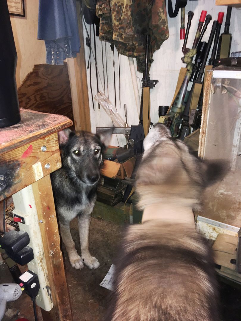 Do you sleep with a gun under your pillow? Page 3